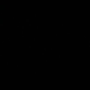 Meet your Posher, Jaylen